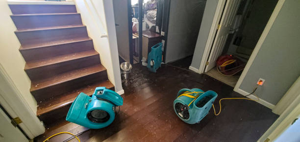Best Water damage restoration near me  in Lowell, AR
