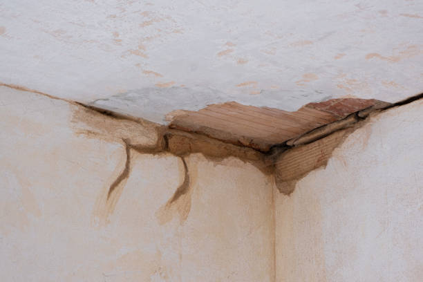 Water damage restoration insurance claims in Lowell, AR