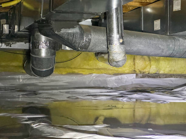 Best Sewage cleanup and water damage restoration  in Lowell, AR