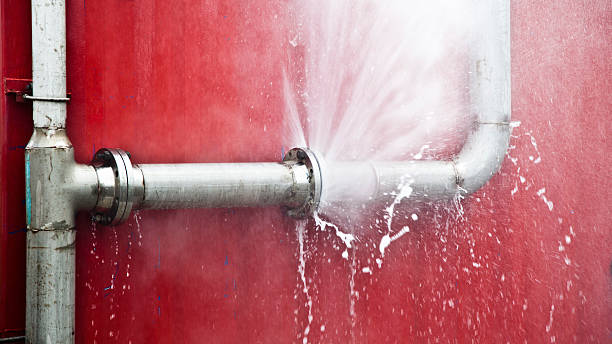 Best Flooded house restoration  in Lowell, AR