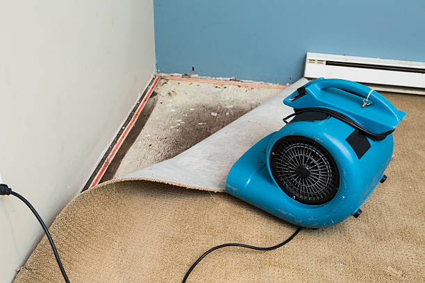 Best Commercial water damage restoration  in Lowell, AR